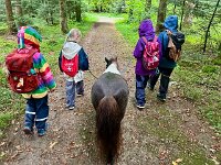 521 Ponytrekking auf dem Freiämter Sagenweg 4