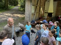 522 Von Falken und anderen Greifvögeln  (1)