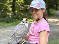 522 Von Falken und anderen Greifvögeln  (13)