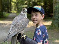 522 Von Falken und anderen Greifvögeln  (15)