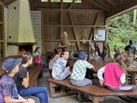 522 Von Falken und anderen Greifvögeln  (2)