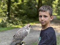 522 Von Falken und anderen Greifvögeln  (24)