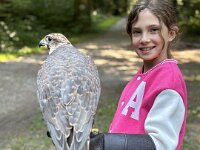 522 Von Falken und anderen Greifvögeln  (26)