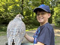 522 Von Falken und anderen Greifvögeln  (27)