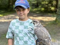 522 Von Falken und anderen Greifvögeln  (28)