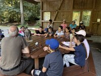 522 Von Falken und anderen Greifvögeln  (3)