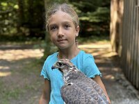 522 Von Falken und anderen Greifvögeln  (30)