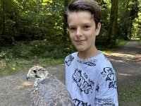 522 Von Falken und anderen Greifvögeln  (6)