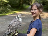 522 Von Falken und anderen Greifvögeln  (8)