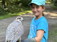 522 Von Falken und anderen Greifvögeln  (9)