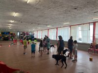 314 Hunde verstehen lernen