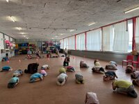 314 Hunde verstehen lernen (2)