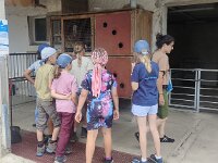 504 Tiere und das Leben auf dem Bauernhof (2)