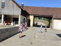 504 Tiere und das Leben auf dem Bauernhof (3)