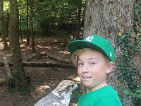 522 Von Falken und anderen Greifvögeln (10)