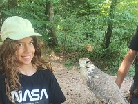 522 Von Falken und anderen Greifvögeln (12)