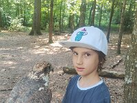 522 Von Falken und anderen Greifvögeln (14)