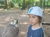 522 Von Falken und anderen Greifvögeln (15)
