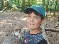 522 Von Falken und anderen Greifvögeln (16)