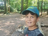 522 Von Falken und anderen Greifvögeln (17)