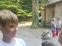 522 Von Falken und anderen Greifvögeln (2)