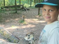 522 Von Falken und anderen Greifvögeln (20)