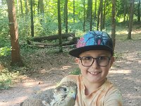522 Von Falken und anderen Greifvögeln (21)