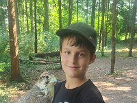 522 Von Falken und anderen Greifvögeln (24)
