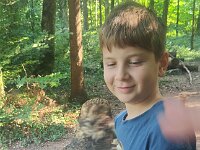 522 Von Falken und anderen Greifvögeln (27)