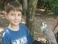 522 Von Falken und anderen Greifvögeln (29)