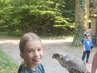 522 Von Falken und anderen Greifvögeln (3)
