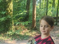 522 Von Falken und anderen Greifvögeln (30)
