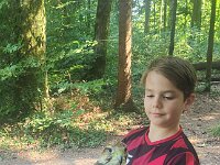 522 Von Falken und anderen Greifvögeln (31)
