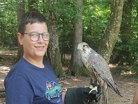 522 Von Falken und anderen Greifvögeln (37)