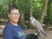 522 Von Falken und anderen Greifvögeln (38)