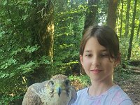 522 Von Falken und anderen Greifvögeln (40)