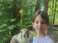 522 Von Falken und anderen Greifvögeln (41)