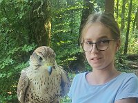 522 Von Falken und anderen Greifvögeln (42)