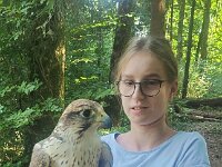 522 Von Falken und anderen Greifvögeln (45)
