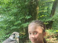 522 Von Falken und anderen Greifvögeln (46)