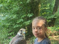 522 Von Falken und anderen Greifvögeln (47)