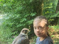 522 Von Falken und anderen Greifvögeln (48)