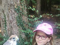 522 Von Falken und anderen Greifvögeln (5)