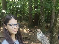 522 Von Falken und anderen Greifvögeln (50)