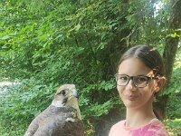 522 Von Falken und anderen Greifvögeln (56)