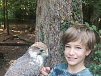 522 Von Falken und anderen Greifvögeln (7)