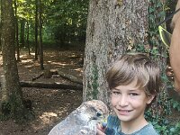 522 Von Falken und anderen Greifvögeln (8)