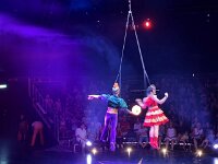 609 Circus Monti (10)