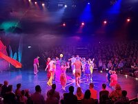 609 Circus Monti (6)