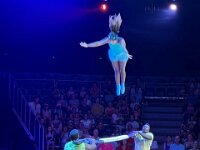609 Circus Monti (8)